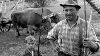 poème que j'ai écrit, et déjà publié en août 2015