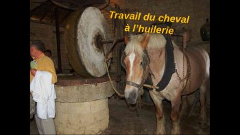 Tous ces métiers disparus, au charme d'antan... remplacés par le progrès des techniques, des machines agricoles... etc...