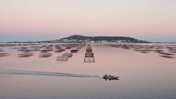 Musique : NYMPHES
Compositeur : Joël HANNIER
