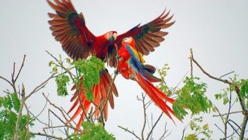 Au Printemps la nature revit nous apportant la joie de vivre.