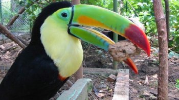 Je suis né un 22 septembre vers 22h30. J'ai "vu" la fin de l'été et le début
de l'automne. Est-ce pour cette raison que j'aime cette saison? peut-être.!
Je dois avouer que chaque saison a ses beautés et ses charmes.
Il suffit de les découvrir et de les ressentir!