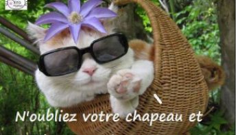 ON  S'AMUSE UN PEU ! IL FAIT BEAU... BONNE JOURNÉE. 
Doris & Victoria...