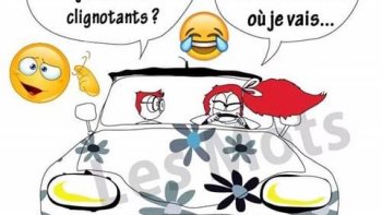 Les images humoristiques   sont un remède contre le  "bourdon "