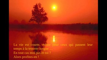 UNE PENSÉE POSITIVE EN IMAGES ...