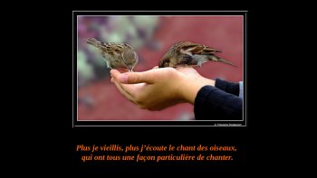 La renaissance du printemps, réveille dans l'hiver de l'âge, des  floraisons nouvelles.