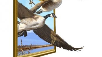 Rafal Olbinsky artiste peintre polonais;né en 1943. études à Varsovie, en faculté d'architecture.Peintre, designer., illustrateur,médailles d'or et d'argent.....
le surréalisme, exprime le réel fonctionnement, de la pensée, en réactualisant  la dimension poétique de la peinture,  en privilégiant le rêve, sans limitation .de perspectives....(en partie du net )