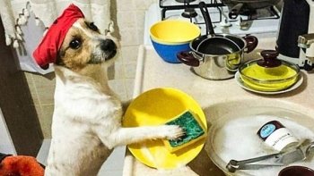 """ Rigolons un peu' pour détendre l'atmosphère"""