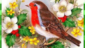 *Une poésie vibrante et vivante *