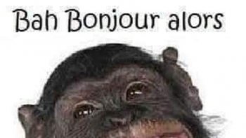  De très bonnes plaisanteries...