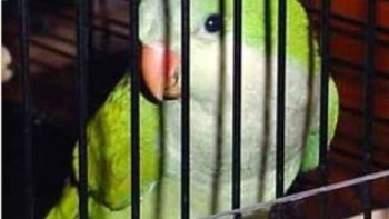 il faut toujours se mefier... la malhonneteté  est souvent punie...