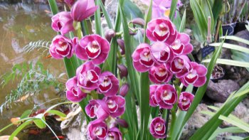 
Si certaines photos sont de tailles différentes, c'est que j'ai utilisé deux appareils...