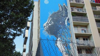 Depuis quelques années le 13ème arrt de Paris s'est spécialisé dans les fresques peintes sur des immeubles parisiens.
Les artistes sont rémunérés pour peindre les murs de certains immeubles
( la plupart des HLM).
Dès lors, j'ai pris des photos des fresques les plus importantes, et par la même occasion des photos de certains graffitis ( ils sont tous de 2016).
Certains graffitis sont beaux, d'autres moins.
En tout cas les «artistes» peuvent s'exprimer.