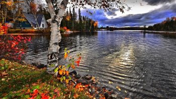 «« l'homme et la nature vibrent dans une relation d'unité, sans la nature'
  « l'homme n'est rien...