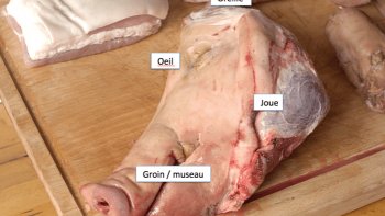Un plat qui surprendra tout le monde ! Une tête de porc entière cuite au four est exactement le plat que tous les invitée louent et demandent des suppléments. Essayez de cuisiner ce plat vous-même et assurez-vous qu'il peut conquérir non seulement l'estomac, mais aussi le cœur. ! -------- Le tout est suivie par la joli vidéo des trois petits cochons, le grand classique de Walt Disney. Sorti en 1933. Bonne journée à tous !