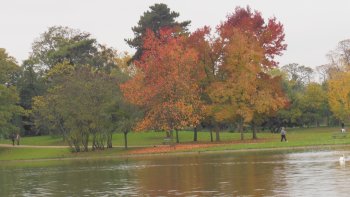 Admirons grâce à ce diaporama conçu par notre amie Louisette, les couleurs d'automne du côté du bois de Vincennes.
