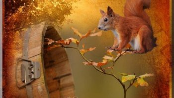 Un bel AUTOMNE, en VAL D'OISE, VEXIN, où l' OISE, qui se jette dans la
SEINE s'écoule doucement dans la campagne ****Elle vient de loin, prenant sa source au sud-est de Chimay en Belgique*
