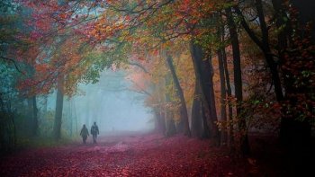 Les bienfaits de la marche