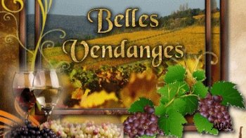  Plongez dans l'atmosphère paisible des vendanges, magnifiquement capturée' qui
  nous transporte au cœur d'un paysage authentique et intemporel...