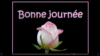 Une très jolie vidéo qui vous transportera dans les Vosges au moment de la grande transhumance. Immersion « au cœur du coeur de l’Alsace » !! 
