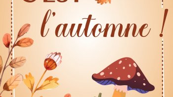 ... Et sur les notes de cette musique authentique"
"un air vagabond, un refrain d'ailleurs
Qui peint les saisons aux couleurs du cœur*