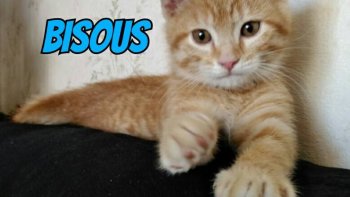 Saurez-vous trouver la solution ??