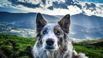 La conscience parle" mais l'intérêt crie....