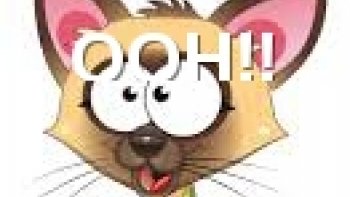 Nos deux ordissinautes Doris et Victoria ont décidé de partager avec nous des parles des gendarmes...