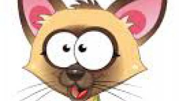 Messieurs, ce n'est que de l'humour  !!!!