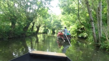 PIANINO  DEL  LINTOT
Compositeur / Orchestrateur : Joël HANNIER