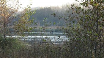 Les textes de notre ordissinaute Fayane sont toujours décalés, à découvrir sans hésiter !