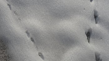 librement inspiré du poème "barbara" de J. Prévert chanté par Y. Montand