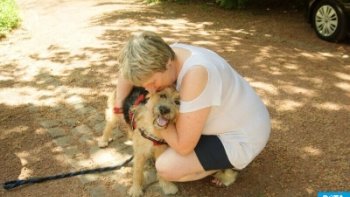 Animaux Rassemblés Avec Son Propriétaire Après Des Années - Être loin de votre ami animal peut être assez douloureux, et le revoir est quelque chose de très grand ! Peu importe si on parle d'un chien ou d'un loup, d'un requin ou d'un gorille. Histoires émouvantes de rencontres. Allez !