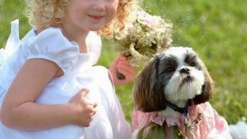 Entre les enfants et les animaux, il y a une relation très riche. Avoir un animal, tous les enfants en rêvent. Pourquoi une telle attirance pour les animaux ?
Est-ce une bonne raison pour avoir un animal à la maison ?
Regardez, et réfléchissez...
Certaines photos ont déjà été partagées récemment par d'autres ordissinautes, d'autres photos sont inédites.