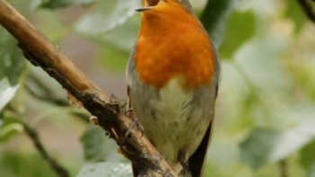 texte libre, paru le 27 juillet 2014