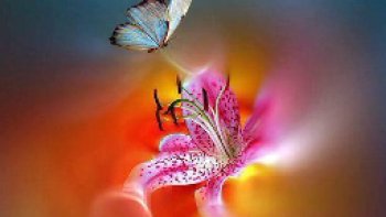 à chaque jour, un ciel nouveau, qu'il soit gris ou ensoleillé, vivons le avec le sourire meme si des ombres planent ...demain ???????