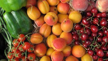 C'est l'été, avec son soleil brûlant et sa foule de touristes.