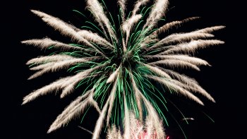 Voici la dernière vidéo tournée le 26 août par notre ordissinaute Poupette. Prenez le temps, installez-vous confortablement et appréciez.