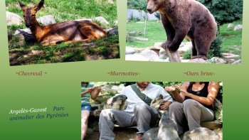 Une promenade  en pays de Bigorre ,,,une destination pour de belles vacances 