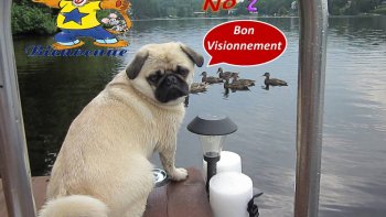    A Voir... en bonne humeur!!!