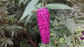 POUR 4OOO euros .....la logique féminine ne m'en parlez pas ! pauvre Monsieur...OUPS ....