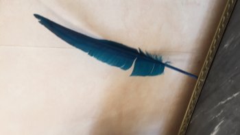 d'une étonnante actualité