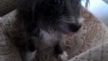 très beau texte de notre ordissinaute la plomb44