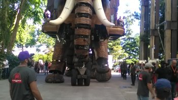 Un chercheur a réussi à croiser un pigeon avec un perroquet. Le volatile obtenu, explique-t-il continu de lâcher sa fiente sur tout ce qui passe,mais ensuite, au moins, il présente ses excuses.             
Tu va divorcer ? C'est possible. Que reproche tu à ton mari, pour son âge il est extraordinaire!Oui,mais pas pour le mien !             