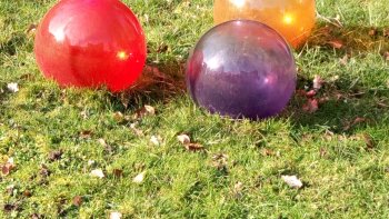 Photos  prises lors d'une promenade à Soisy/écoles, dans  l'Essonnes il y a q.q.e.s années, avec mon n°1 Ordissimo(je ne suis pas douée!pour la photographie! n'incriminez pas la marque de l'appareil!