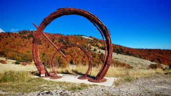 On entend souvent parler de la beauté des forêts Canadienne ... 