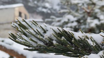 Quand le blanc s’invite sur les flancs de LURE Alpes de Haute Provence 