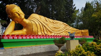  𝐕𝐨𝐲𝐚𝐠𝐞 𝐚𝐮 𝐜œ𝐮𝐫 𝐝𝐞𝐬 𝐭𝐫𝐚𝐝𝐢𝐭𝐢𝐨𝐧𝐬 𝐚𝐧𝐜𝐞𝐬𝐭𝐫𝐚𝐥𝐞𝐬 𝐛𝐨𝐮𝐝𝐝𝐡𝐢𝐬𝐭𝐞𝐬 