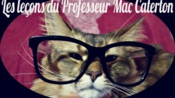Nos Amis les professeurs qui savent parfois surpasser les élèves !