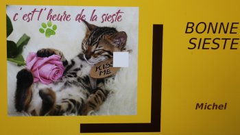 Souriez'! ça vous va si bien....