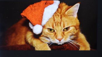 A Noël, il est tout aussi important d'ouvrir notre " cœur"
 que d'ouvrir nos cadeaux....